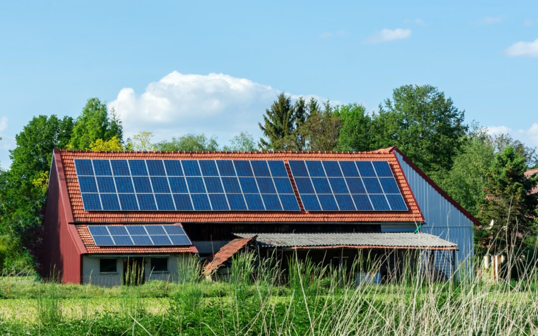 Agrivoltaico in Italia: L’innovazione che unisce agricoltura ed energia solare!