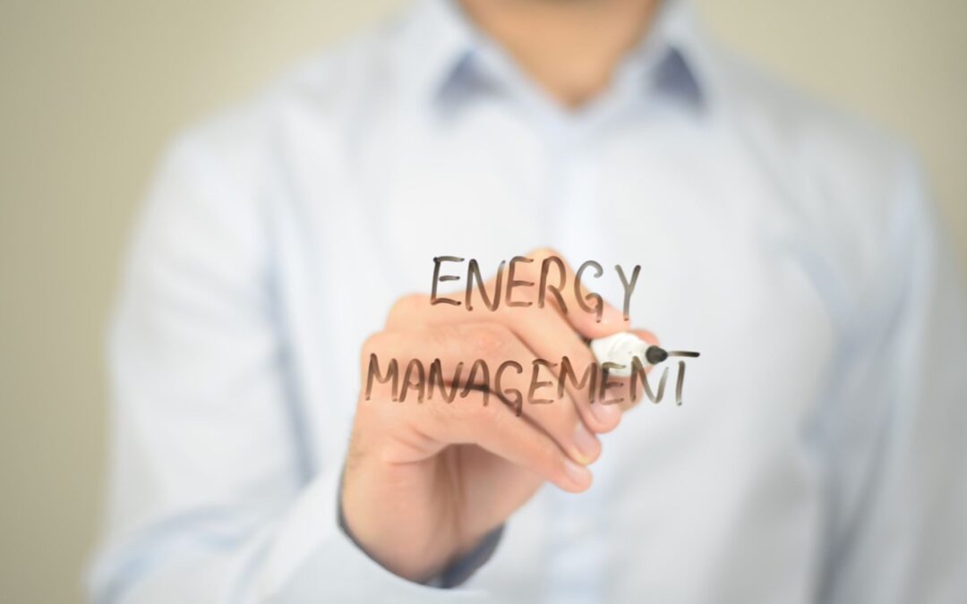 Il Ruolo Cruciale dell’Energy Manager nella Pubblica Amministrazione