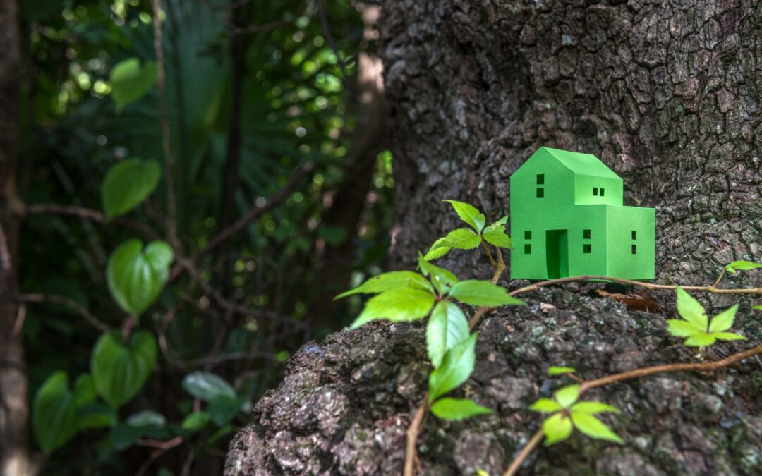 Direttiva Europea Case Green: Addio alle Caldaie Fossili e Nuove Regole per l’Efficienza Energetica