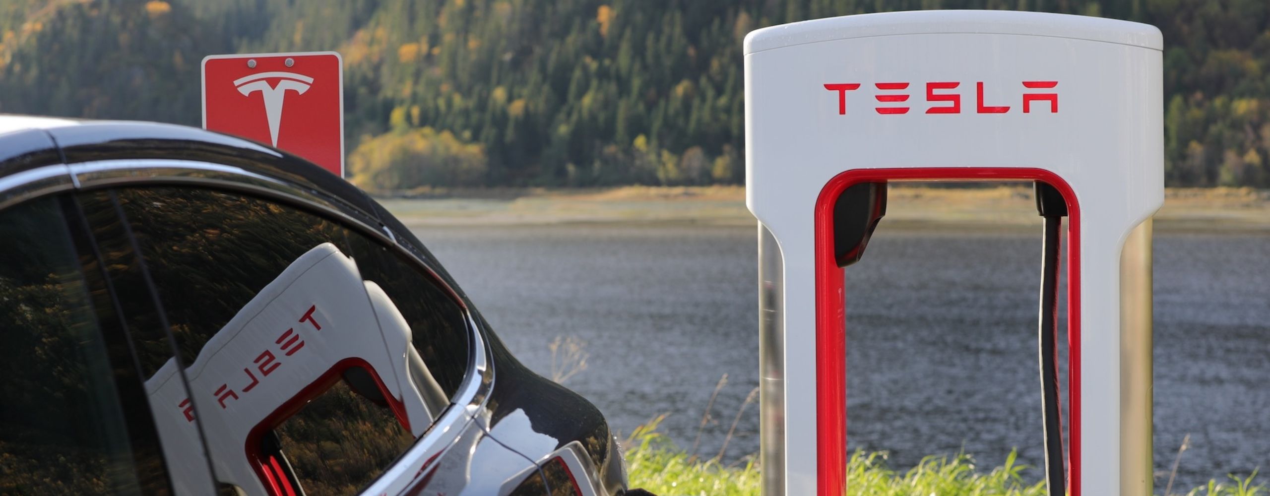 tesla1